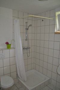 Das Badezimmer (Dusche)